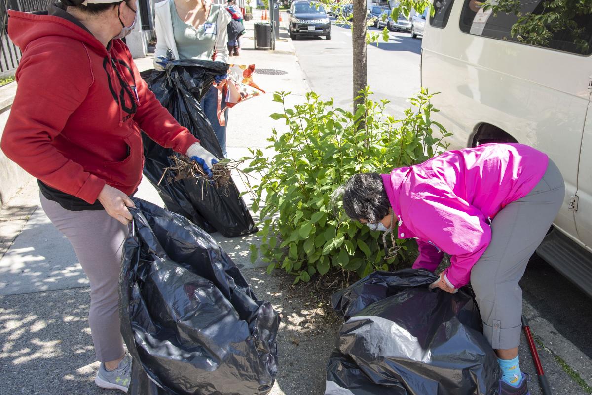 2021 Clean up & Plantings Day 13